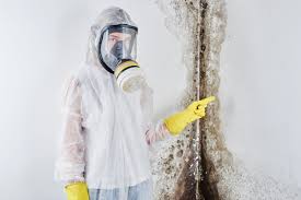 Best Mold Removal for HVAC Installations  in Pierson, FL